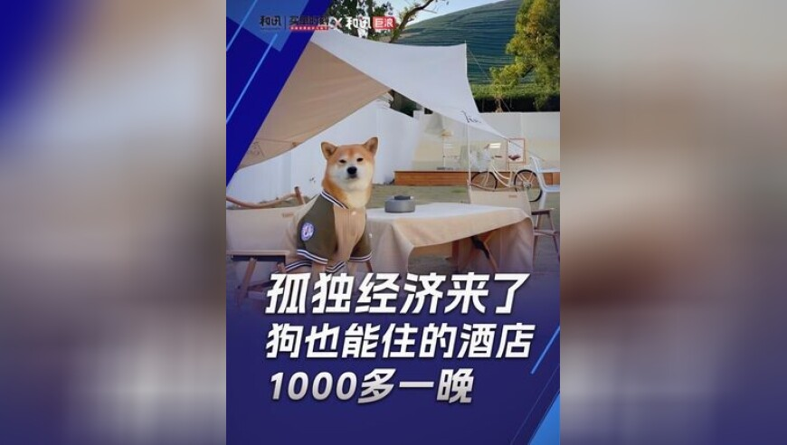 库车地震这些谣言勿信,澳门精准一肖一码必中澳门一101940,经济性执行方案剖析_精英版V10.51