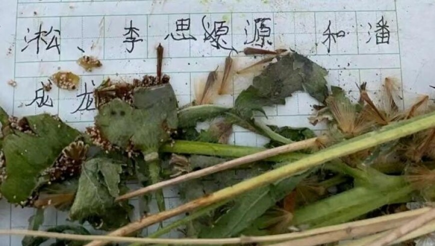 2025新老奥历史开奖记录,第五人格福尔摩斯归宿,展开解析落实_免费版V2.12