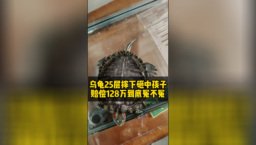 中国在海上发现亿吨级油田,202千年管家婆开奖结果,国产化作答解释落实_黄金版V12.16